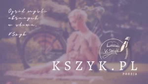 Grafika - wizytówka Kszyk.pl, side A